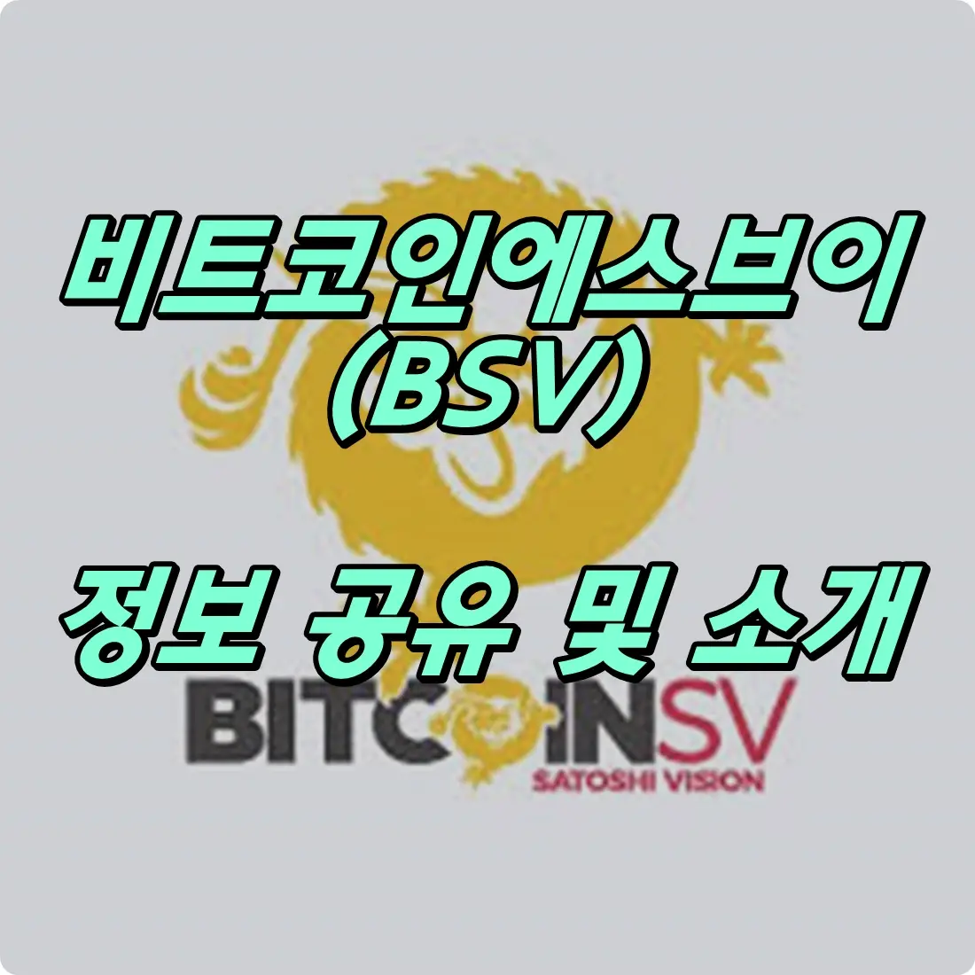 비트코인에스브이 코인 전망