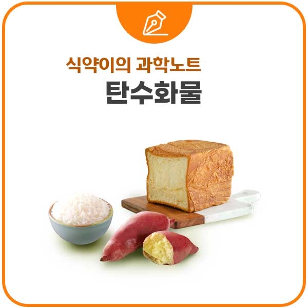  탄수화물 기능, 종류, 부족 증상과 중독 및 과잉 증상, 그리고 현명한 탄수화물 섭취법