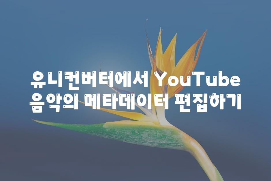 유니컨버터에서 YouTube 음악의 메타데이터 편집하기