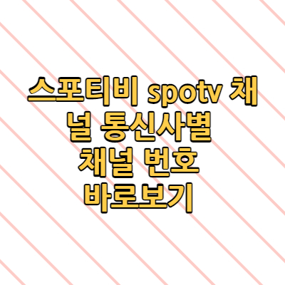  스포티비 spotv 채널 통신사별 번호 어떻게 되나요?