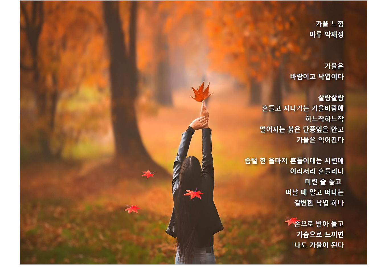 느낌 이미지