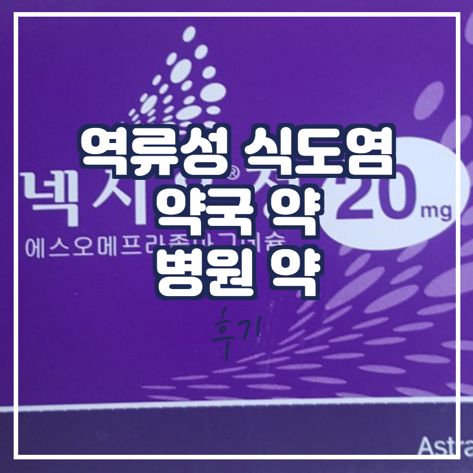 역류성 식도염 약 약국약과 병원약 복용 후기