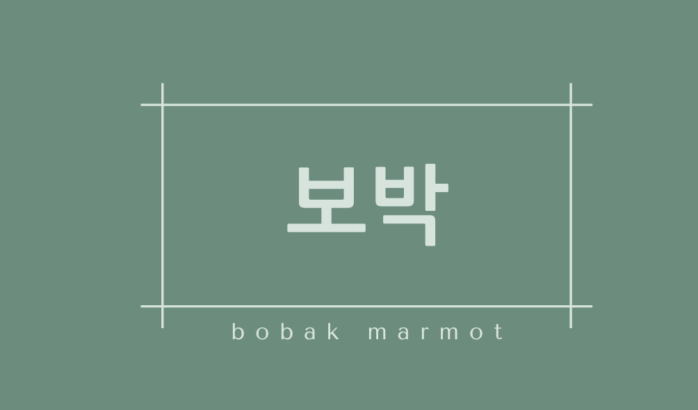 보박(bobak marmot)