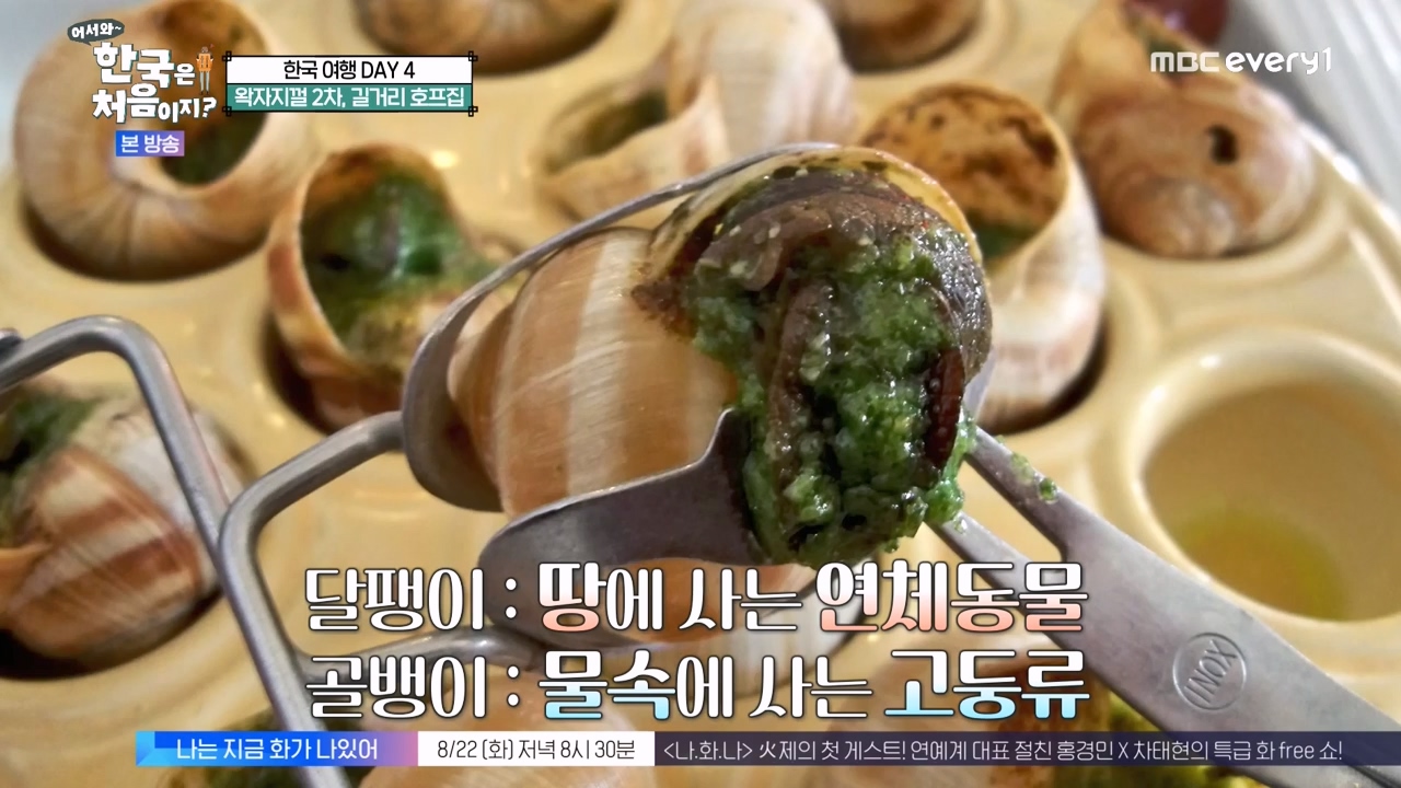 어서와 한국은 처음이지 시즌2.E276.230818p-NEXT.mp4_20230818_203600.524.jpg