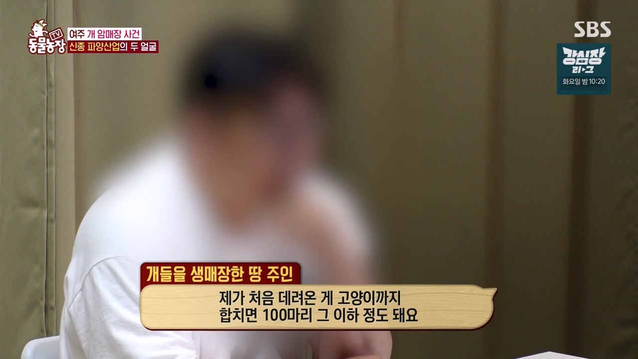 TV 동물농장.E1122.230529p-NEXT.mp4_20230528_170305.100.jpg
