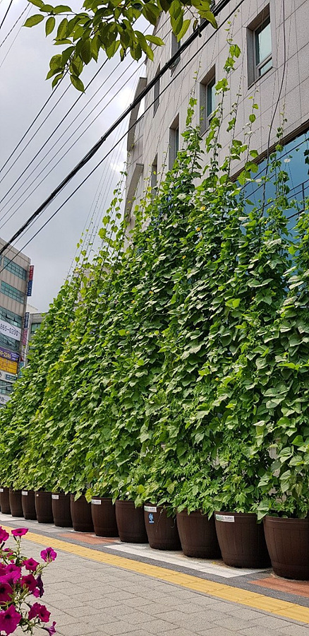 kbs1tv 다큐온 KBS1TV // 회천3동 생태그늘막 31