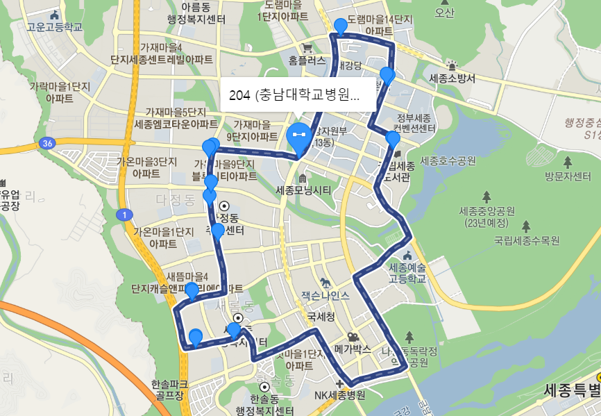  [순환] 세종시 204번버스 노선, 시간표 정보 : 충남대병원 세종의원, 정부세종청사 북측, 세종예술고