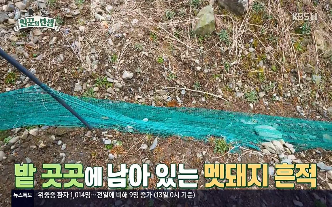 일꾼의 탄생.E19.220414p-NEXT.mp4_20220414_185154.036.jpg
