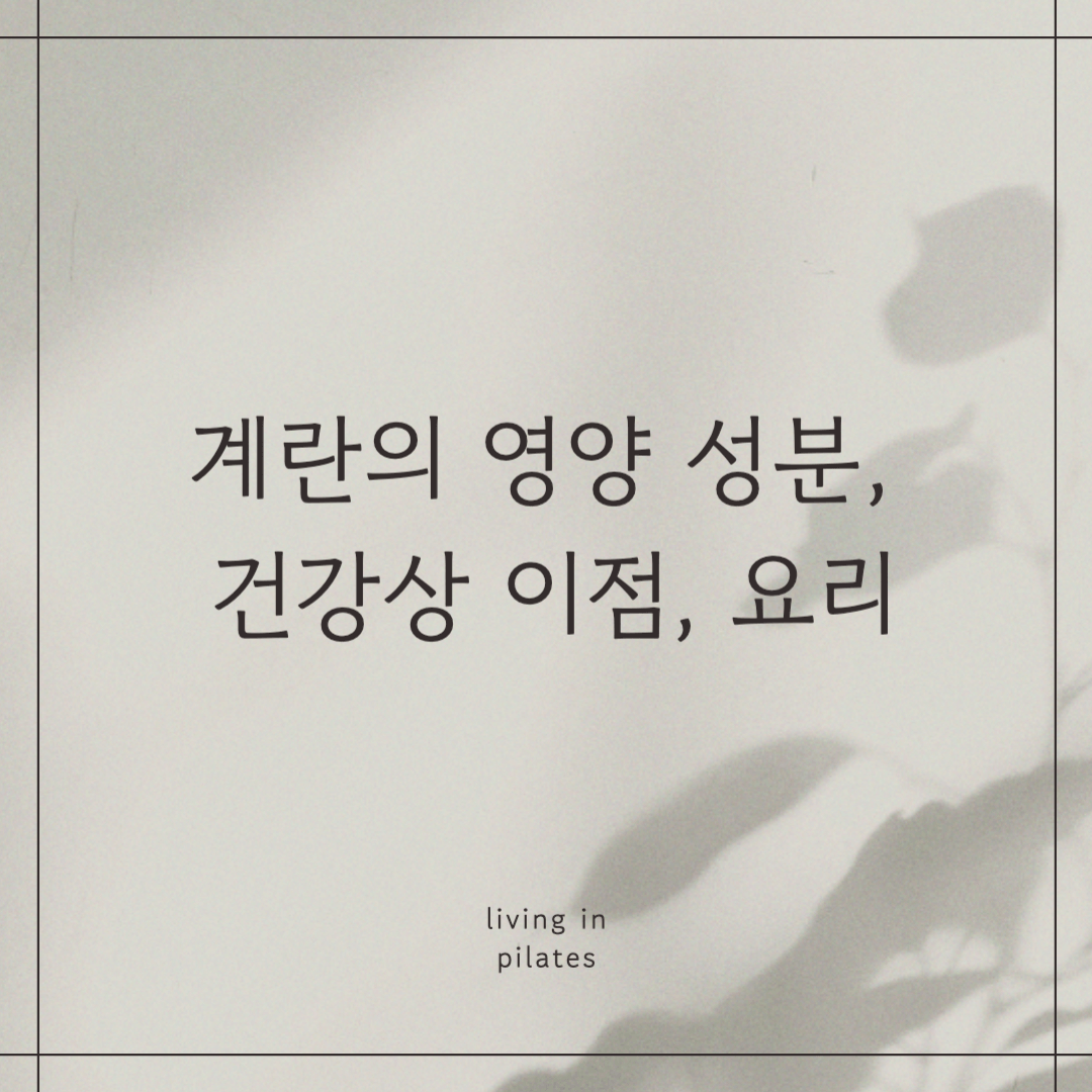 계란의 영양 성분, 건강상 이점, 계란 요리