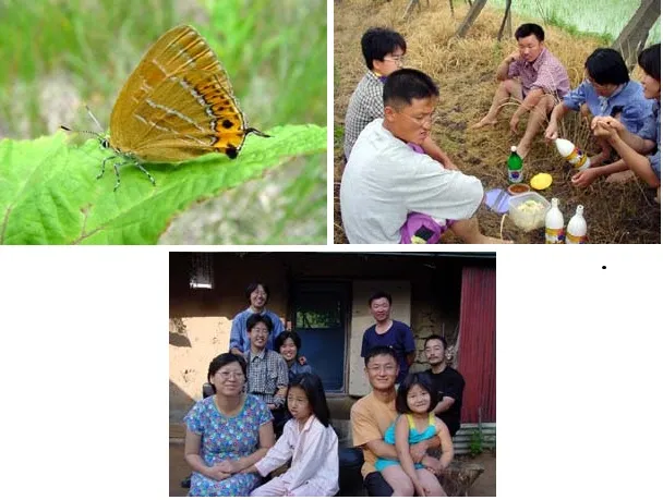소백산 비로봉 연화봉 등산 완벽 산행코스 소요시간 주차팁과 철도 정보_9