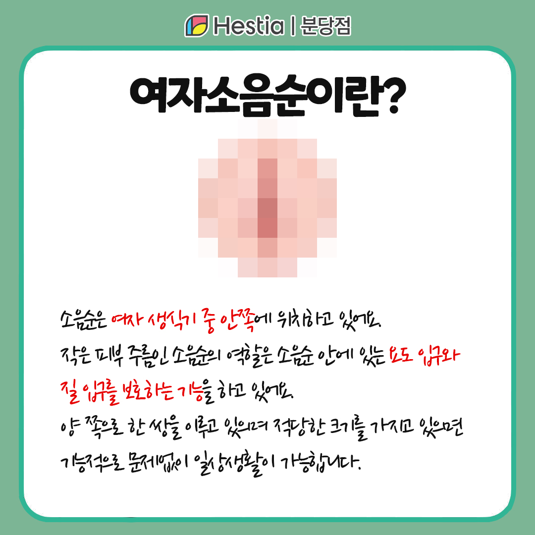 여자소음순 소음순 늘어짐 소음순성형수술 여자소음순 위치