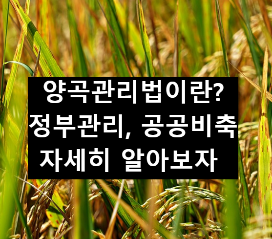  양곡관리법? 정부관리, 공공비축 알아보자.