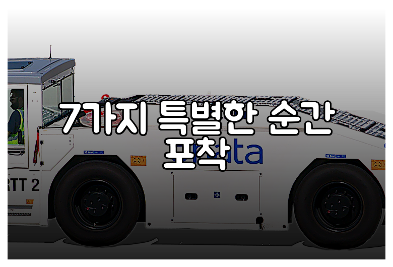 7가지 특별한 순간 포착