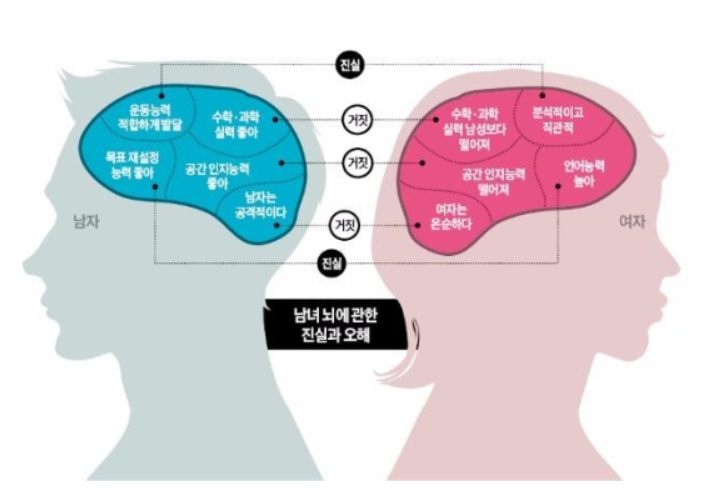 남성과 여성의 뇌 구조 차이