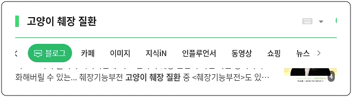 고양이 췌장 질환_1_subsection