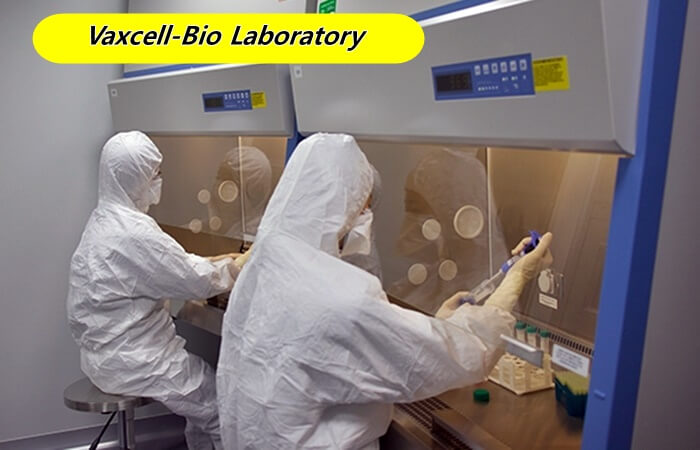 Vaxcell-Bio-Laboratory