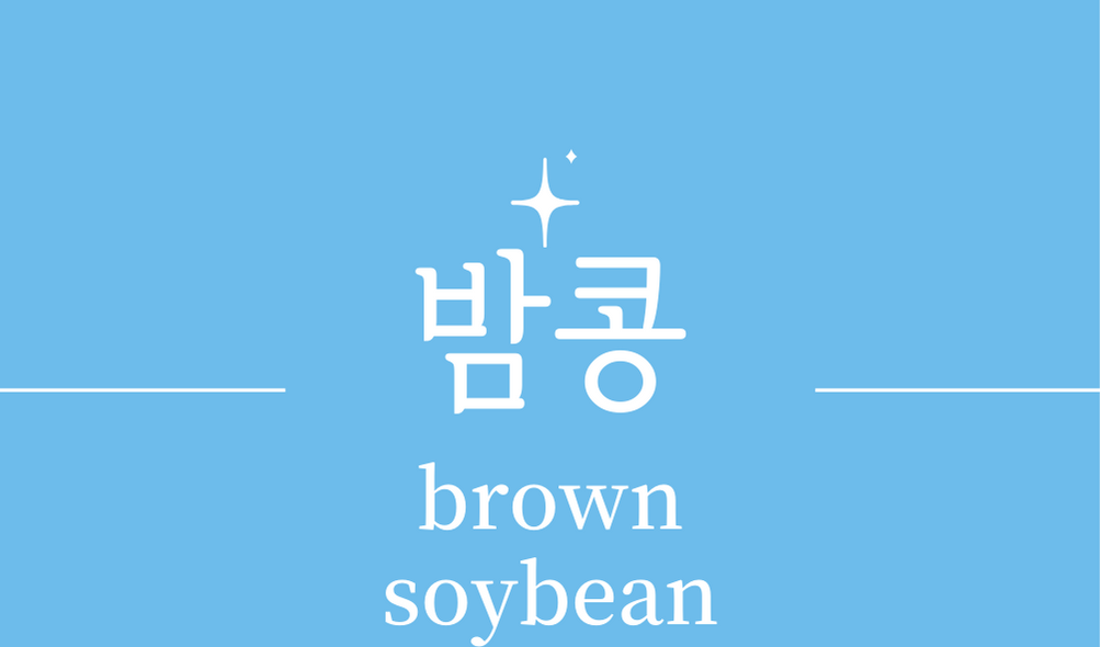 &#39;밤콩(brown soybean)&#39;