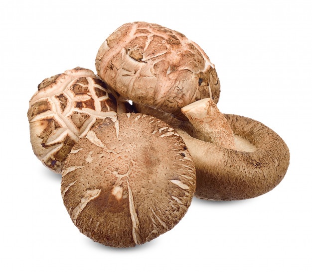 탈모에좋은표고버섯1