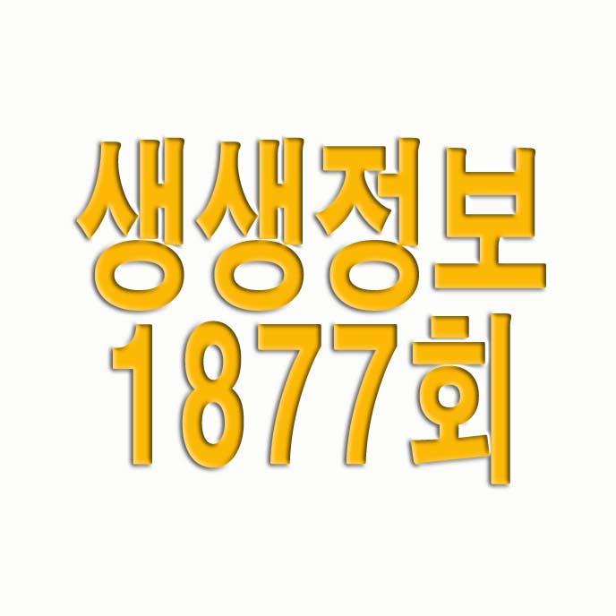  생생정보 1877회 8월 25일 대전 성심당 케익부띠끄, 의정부 에센브로트, 하이그라운드제빵소