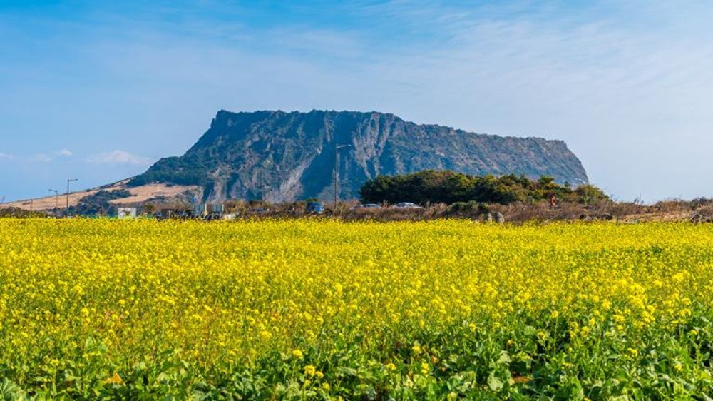 성산 일출봉 사진