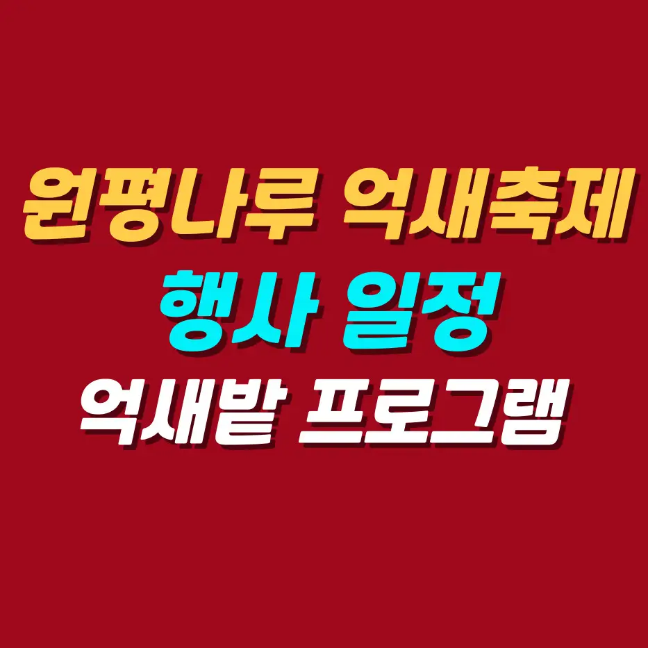 원평나루-억새축제