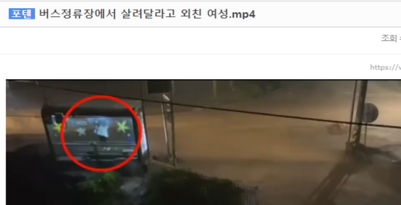  폭우 때문에 대참사 당하신 여성분..