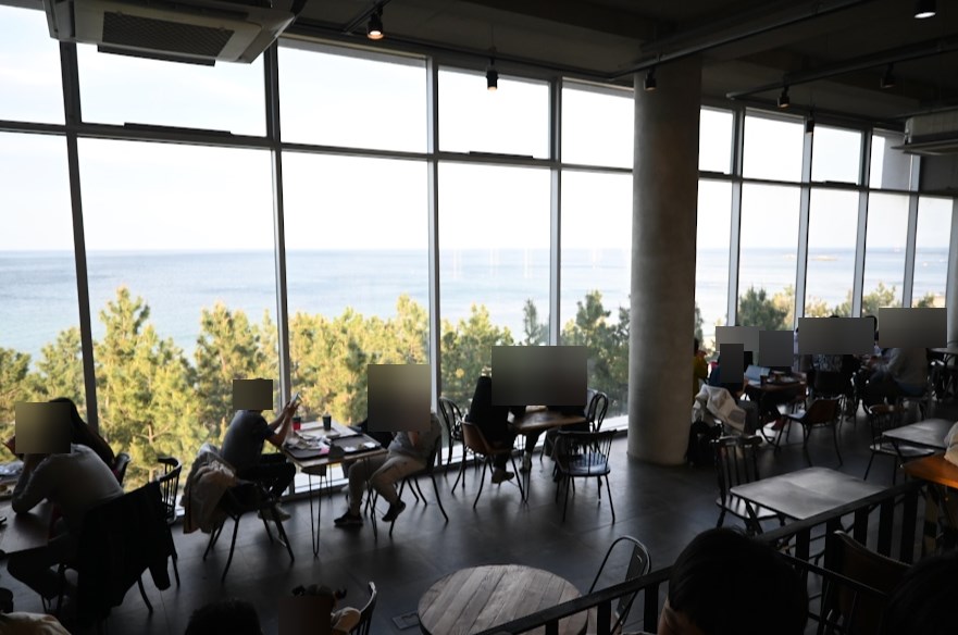 속초 고성 바다정원 꼭 들려야 하는 카페 명소 사진 14