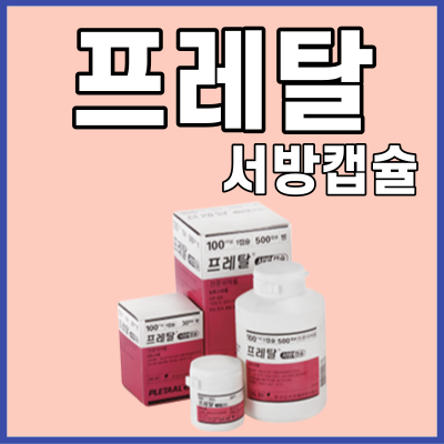 프레탈서방캡슐_100mg