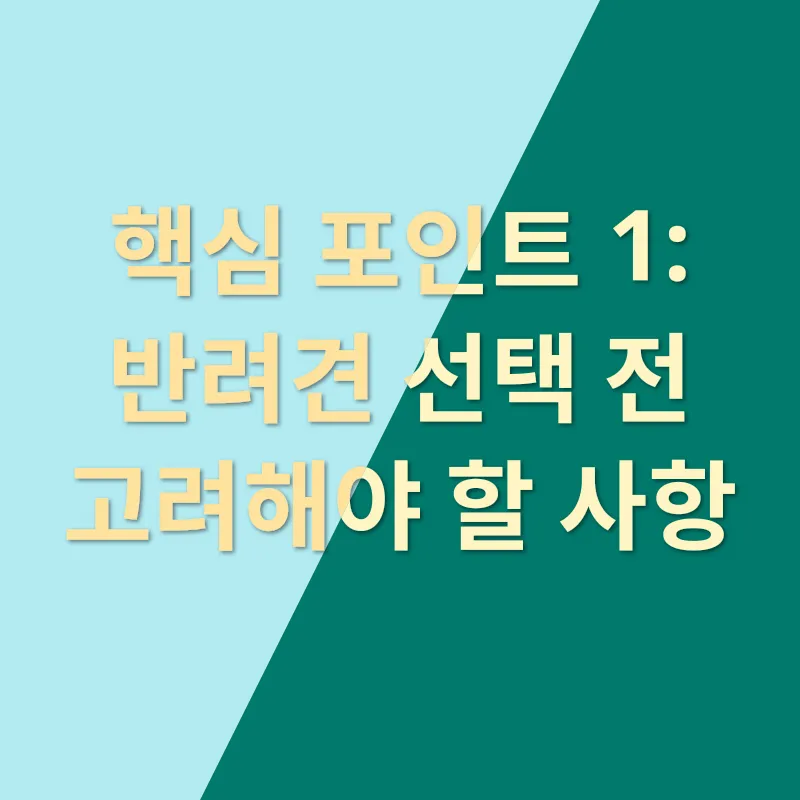 강아지 분양_1
