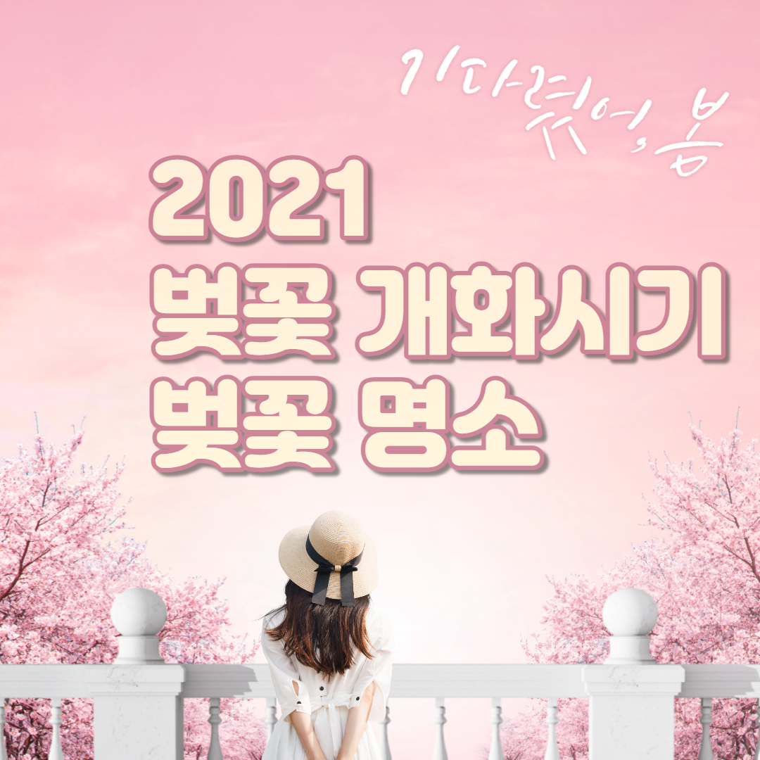  2021 전국 벚꽃 개화시기 벚꽃 명소 알아봐요.