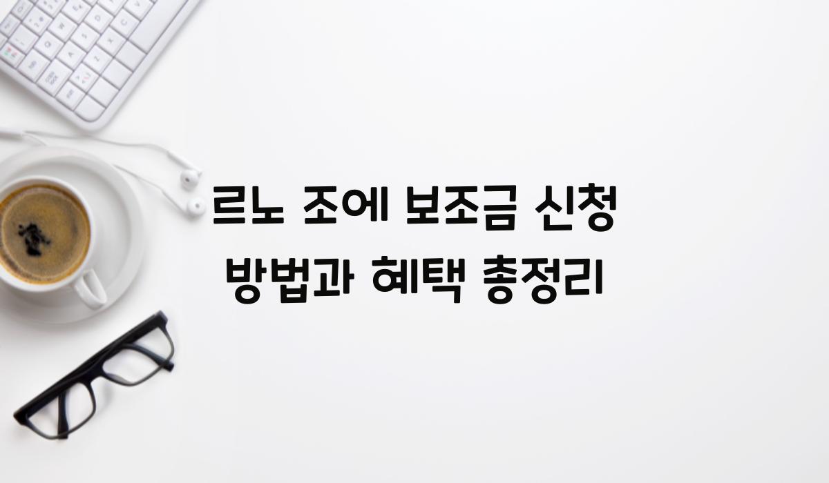 르노 조에 보조금 신청​
