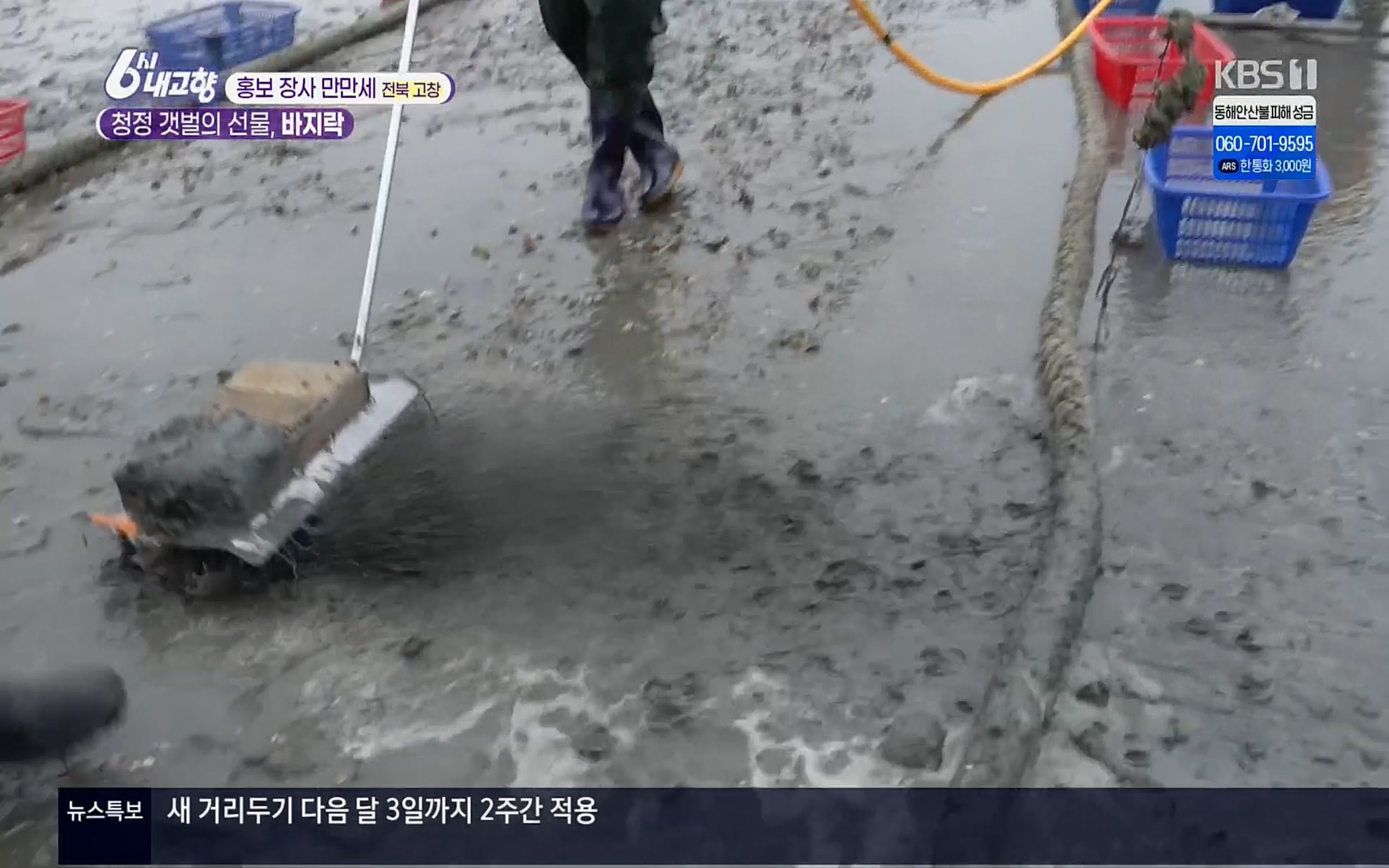 6시 내고향.E7494.220322p.H264-F1RST.mp4_20220326_174056.030.jpg