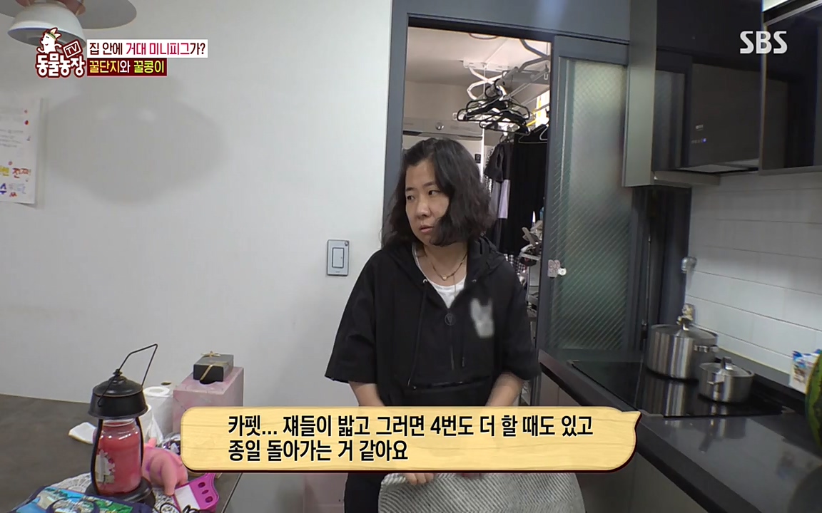 TV 동물농장.E1080.220732p-NEXT.mp4_20220731_174229.617.jpg