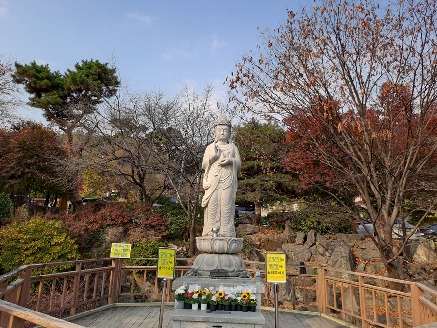 해수관음보살_01