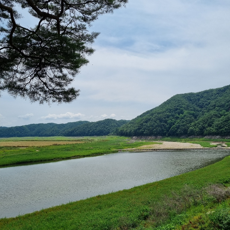 도산서원에서 본 낙동강