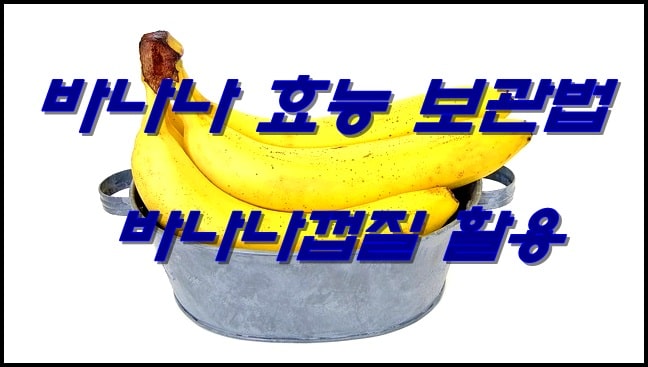  바나나 칼로리 효능 5가지 보관법 바나나껍질 활용법