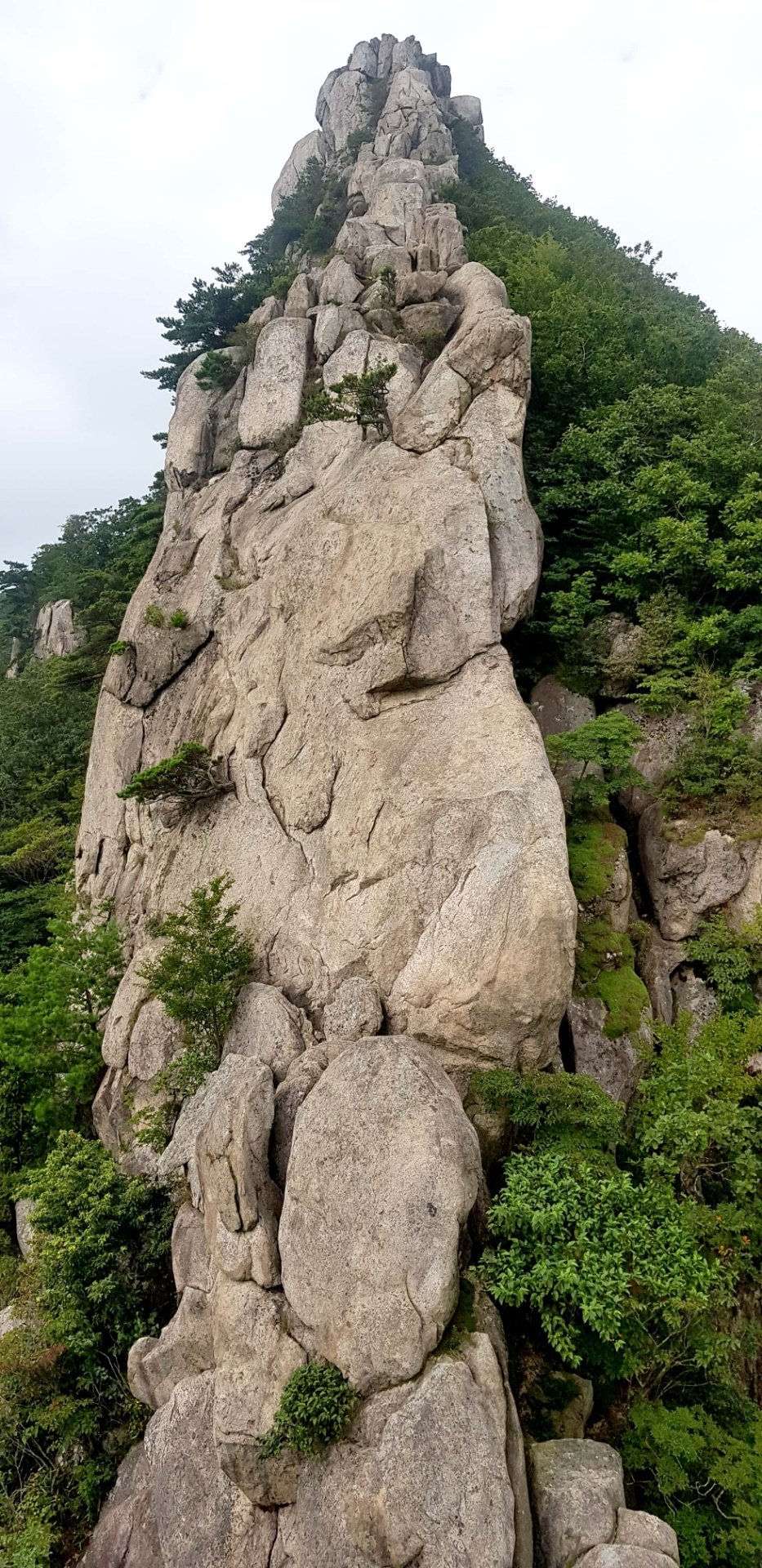 부산 금정산 부처바위