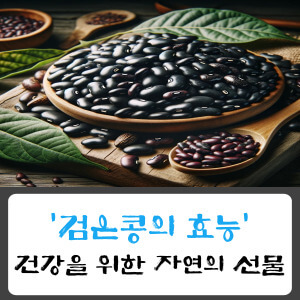 검은콩의 효능