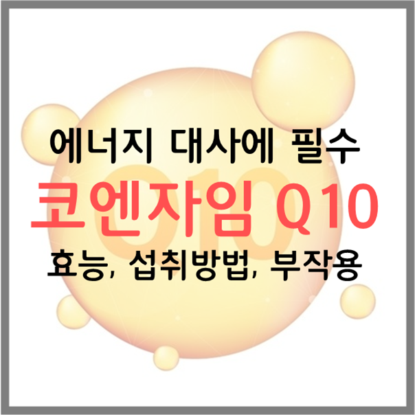  코엔자임Q10 코큐텐 효능 결핍 원인 및 증상 영양제 섭취량 부작용 총 정리