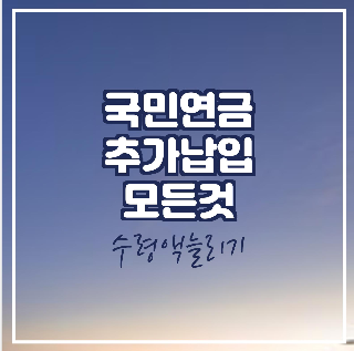  국민연금 추가납입 (추후납입)