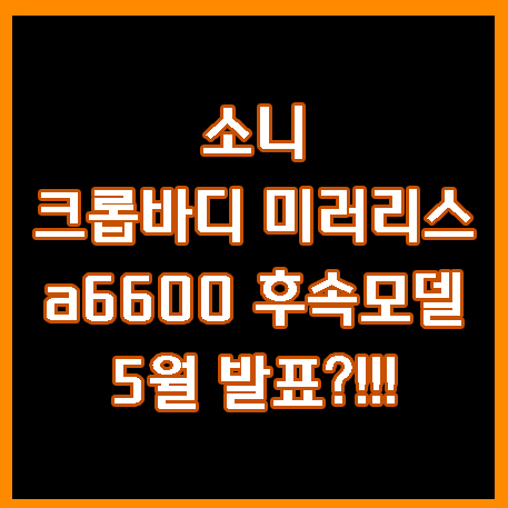  소니 크롭바디 미러리스 a6600 후속모델 5월 발표??