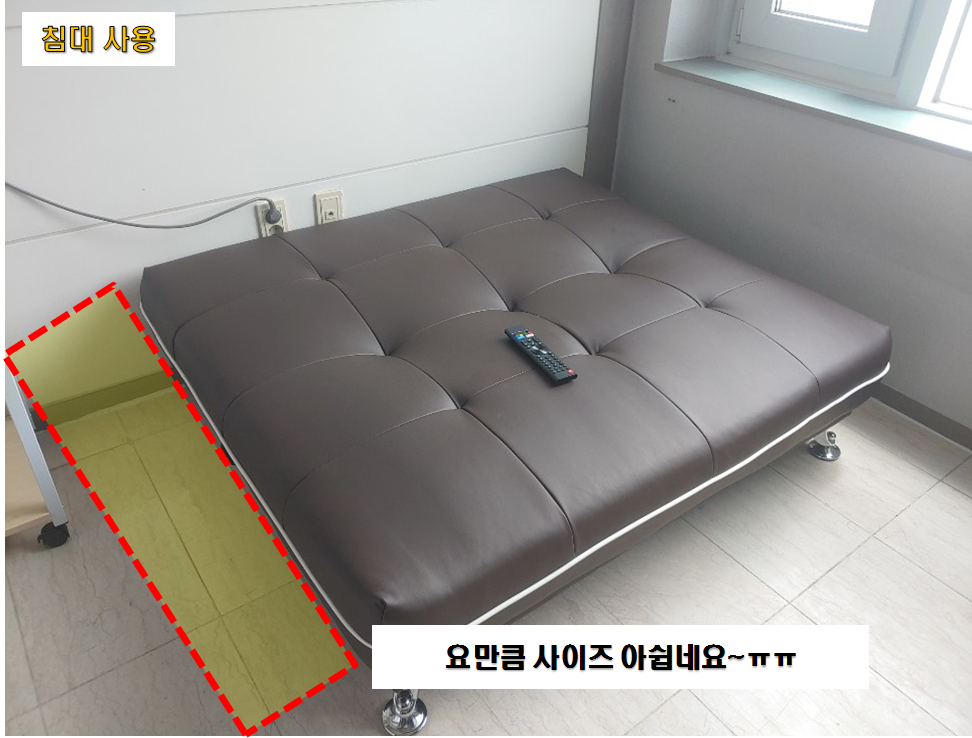 2인용 인조가죽소파베드, 조이시스 샤키
