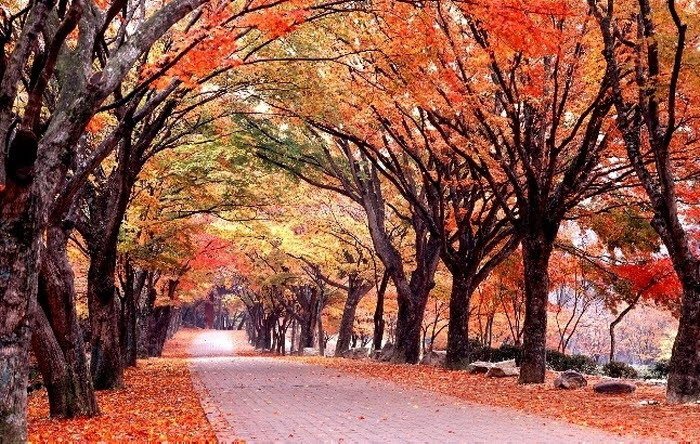 소요산 등산코스 지도