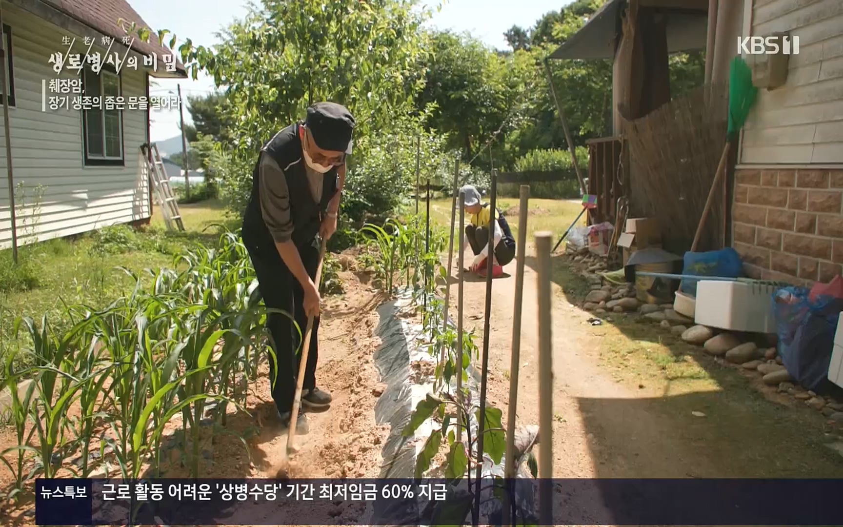 생로병사의 비밀.E823.220622p.H264-F1RST.mp4_20220624_210525.059.jpg