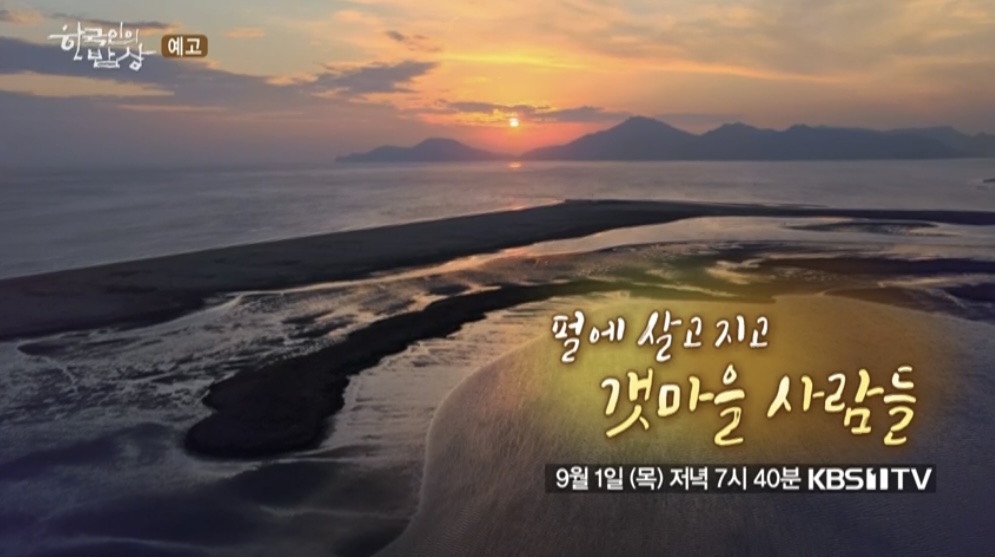  한국인의 밥상 보성 벌교 짱뚱어 영등갯벌 봉황마을 짱뚱어 갯마을 사람들 밥상 신안 증도면 천일염 섬들채 574회
