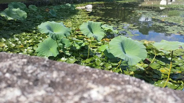 수서역 srt 시간표 예매 예약 요금_1