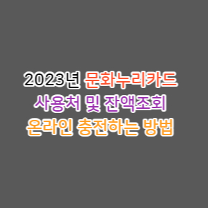  2023년 문화누리카드 사용처 및 잔액조회 온라인 충전하는 방법 및 문화누리카드 영화관 (cgv 롯데시네마 메가박스) 잔액조회 및 비밀번호