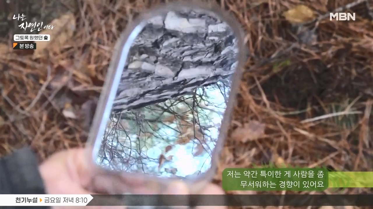 나는 자연인이다.E591.240132p-NEXT.mp4_20240201_195738.632.jpg