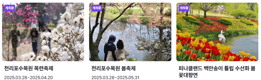 충청도 꽃축제 일정