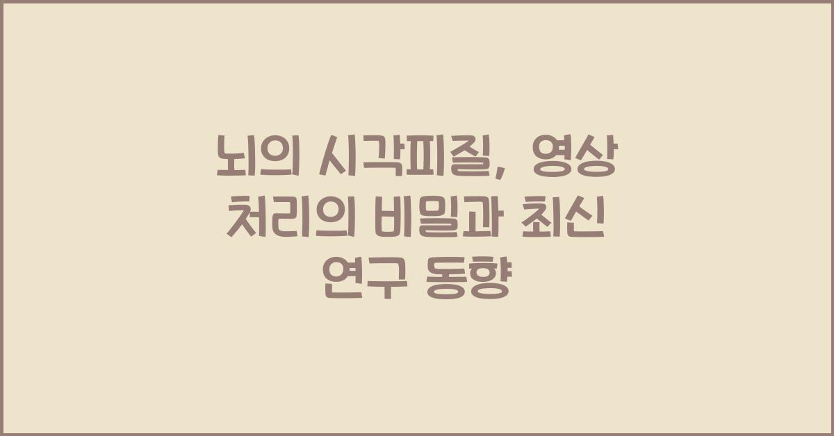 뇌의 시각피질, 영상 처리